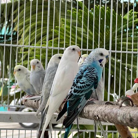 B-5 Aprt. Tipo Villa Sonidos De Las Aves. Харабакоа Экстерьер фото